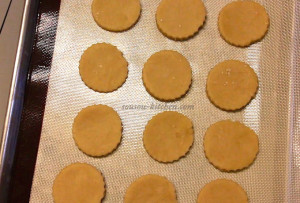 Cookies samoa