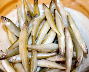 anchois de norvege
