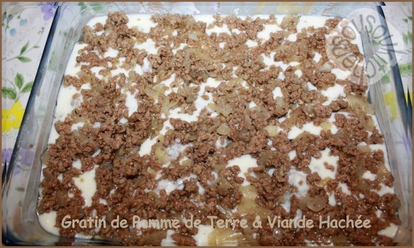 Gratin de Pommes de Terre et Viande Hachee (6)