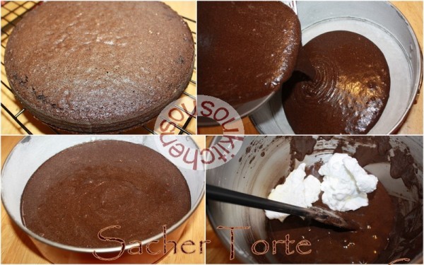 Sacher Torte (9)