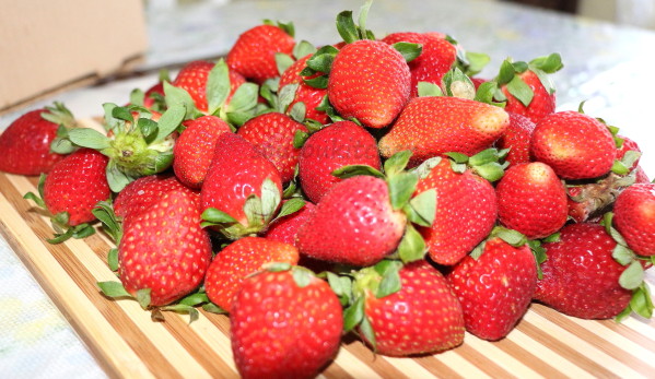 Confiture de Fraise (1)