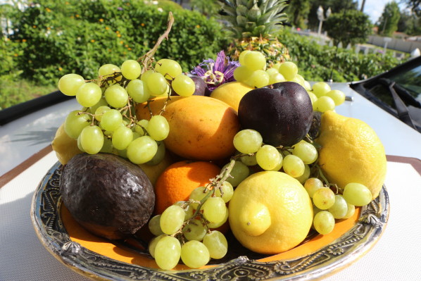 fruits varies