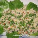 Salade de riz -Salade composée
