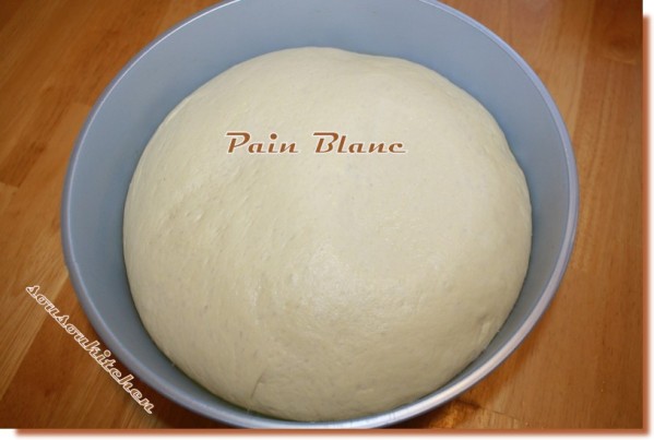 1-Pain blanc toaste (6)