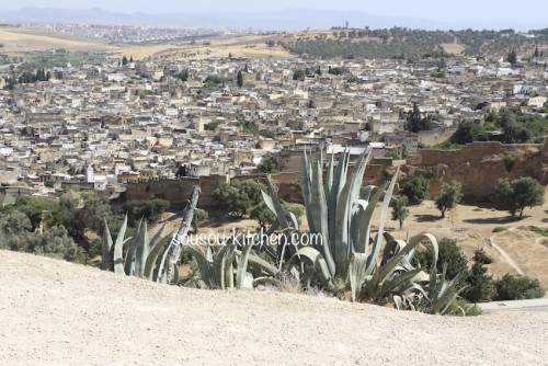 Voyage a Fès-Maroc 2014