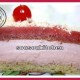 Bavarois aux Fraises-recette de cuisine