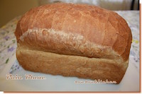 Pain Blanc Toast -Pain du monde