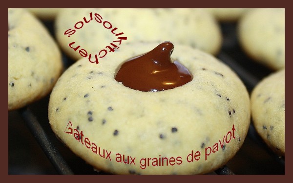 Gataux-aux-graines-de-pavot2-copie-1.jpg