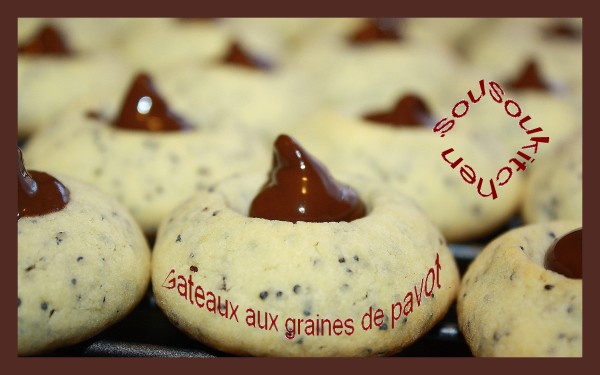 Gataux-aux-graines-de-pavot4-copie-1.jpg