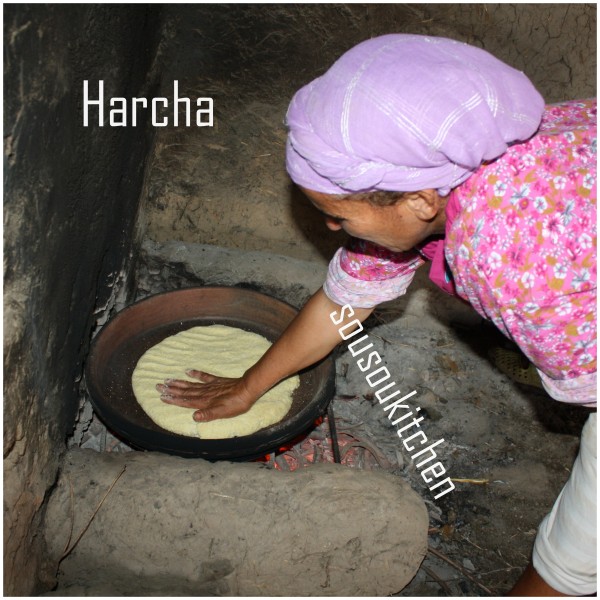 Harcha pic blog10