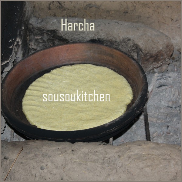 Harcha-pic-blog8.jpg