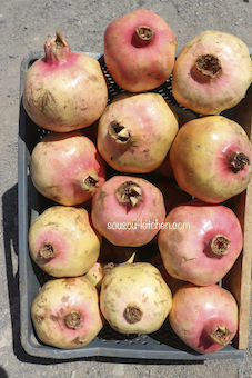 fruits du Maroc