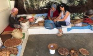 VLOG voyage a Essaouira et Festival Gunawa