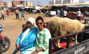 Vlog – l’achat de mouton en famille-Kenitra 2018